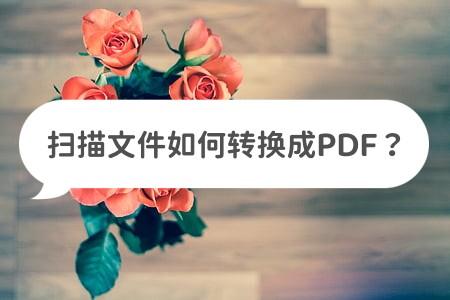 扫描文件格式pdf_扫描件是pdf格式吗_扫描格式是什么意思