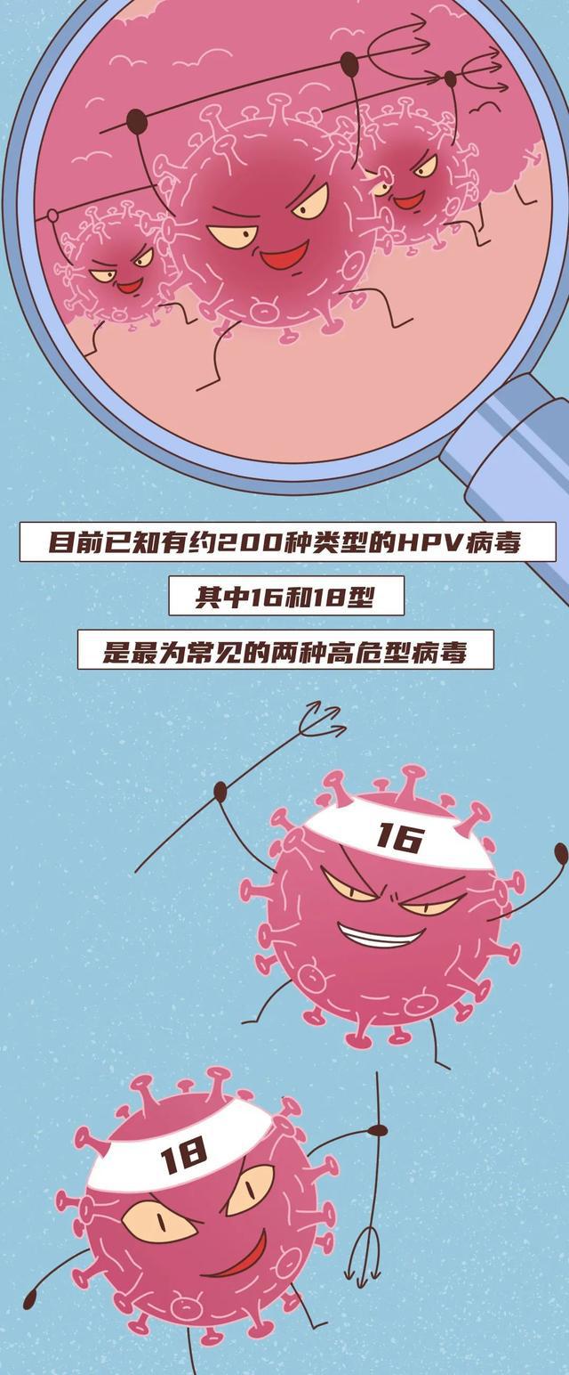 德约德杰维奇_德约_明什么德守什么德严什么德