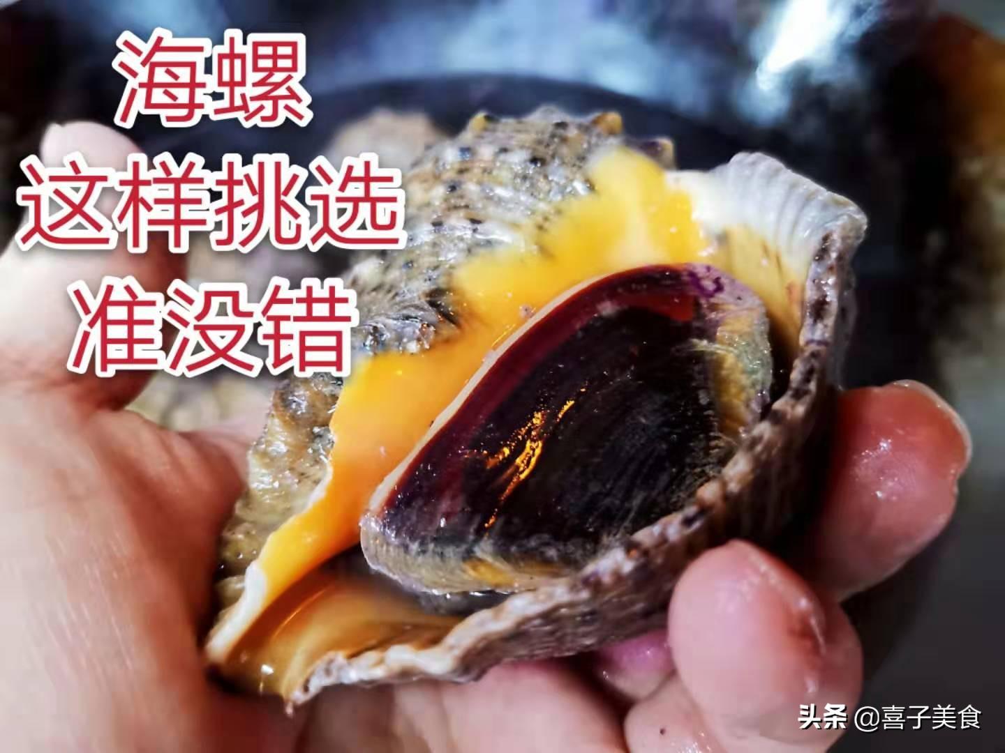 海螺的做法煮多长时间_煮海螺需几分钟_煮海螺几分钟