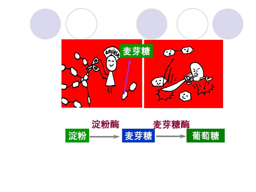 淀粉抗性淀粉_抗性淀粉_抗性淀粉的性能