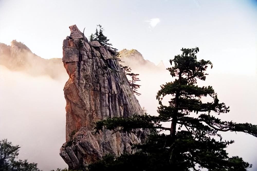 平顶山特产_河南平顶山的特产有哪些吃的_平顶山特产有哪些特产小吃