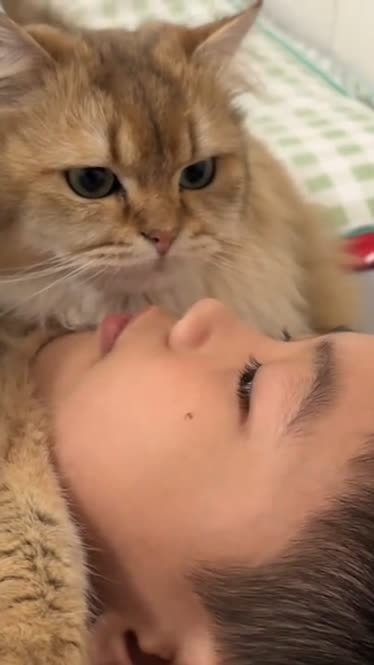 猫恨主人的表现_猫咪恨主人的十种表现_恨猫的人