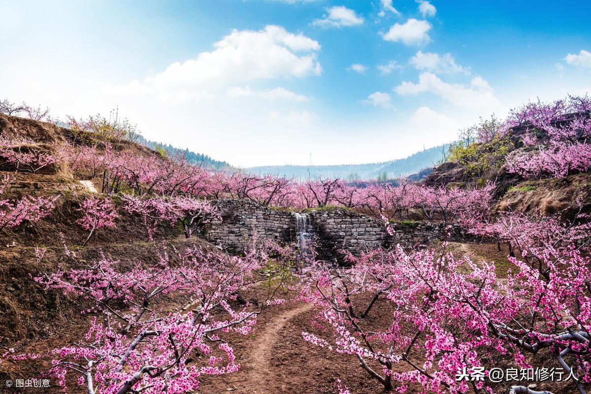 白居易诗名大全_白居易最有名的十首诗_白居易诗名有四的诗