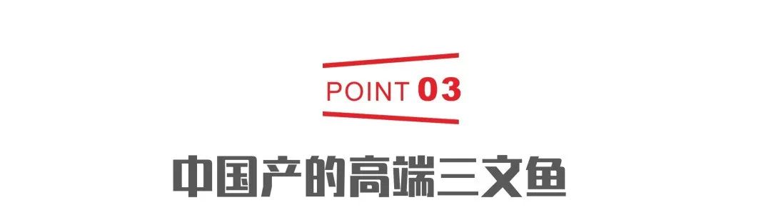 杭州所在省的简称_杭州的省_杭州在哪里哪个省份