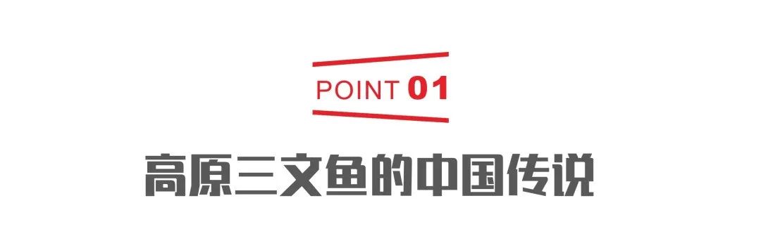 杭州的省_杭州在哪里哪个省份_杭州所在省的简称