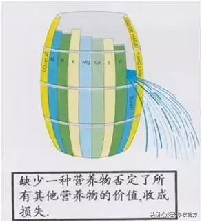 铝碳酸镁作用_镁的作用_碳酸镁作用