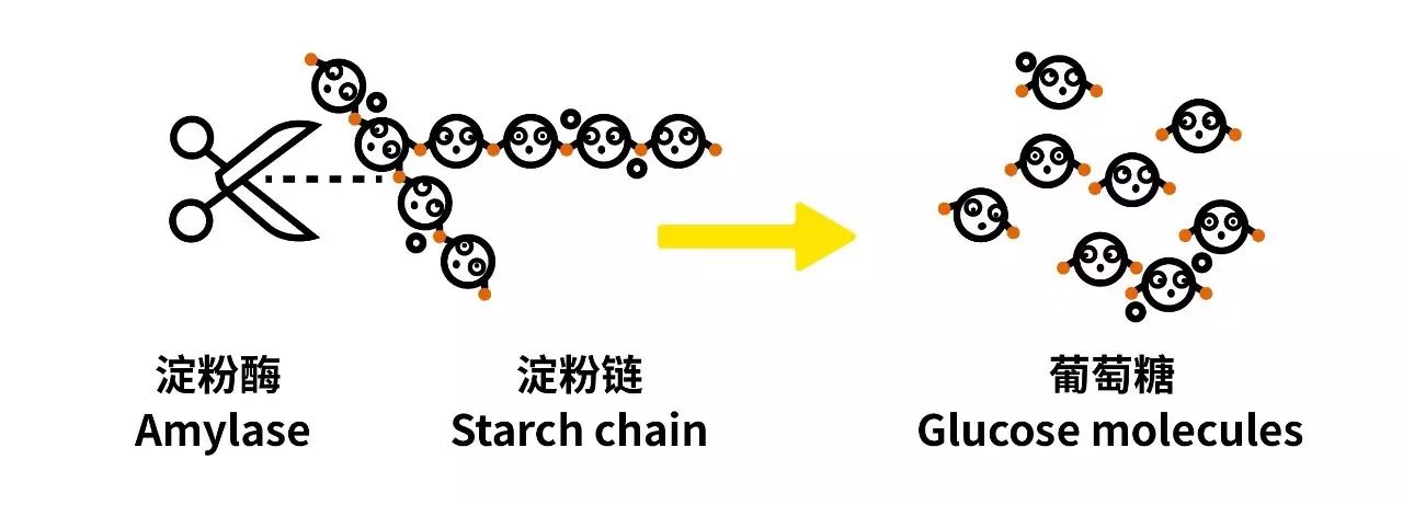 大卡跟千卡换算_大卡和千卡一样吗_千卡和大卡怎么换算的