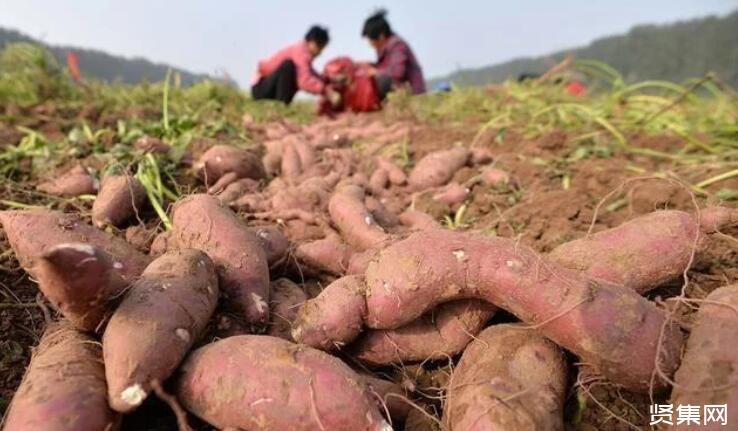 黄淮海地形图_黄淮海地区_黄淮海地区包括哪些省