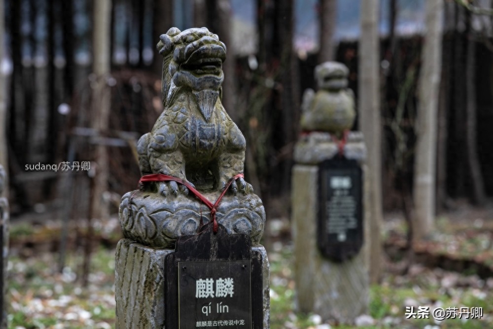 龙生九子，其形象随处可见：麒麟和貔貅究竟是不是龙的儿子