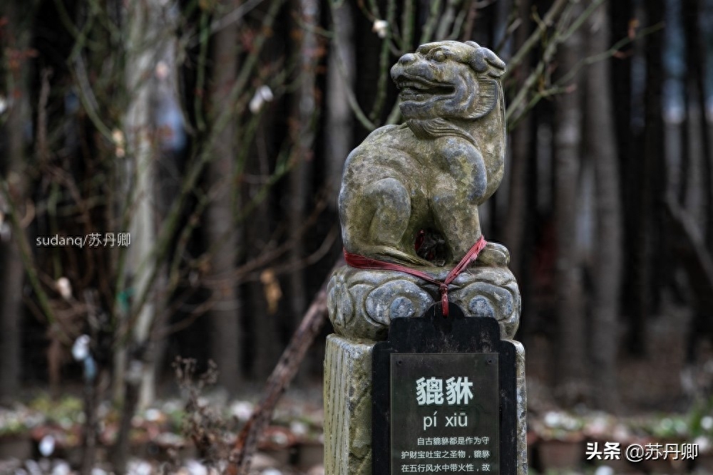 龙生九子，其形象随处可见：麒麟和貔貅究竟是不是龙的儿子