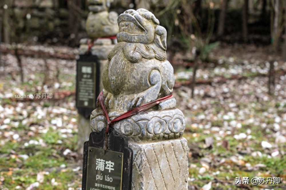 龙生九子，其形象随处可见：麒麟和貔貅究竟是不是龙的儿子